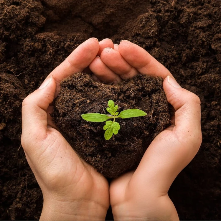 a305b2fa45cca7b43b3d4328a7bf05c0