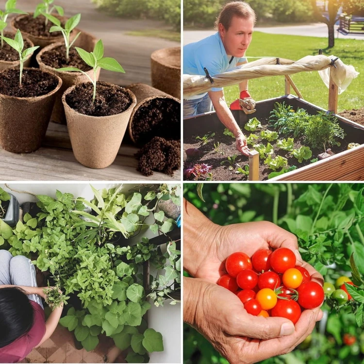 bf98579fcaaa9e2454e04d20bba5c70b