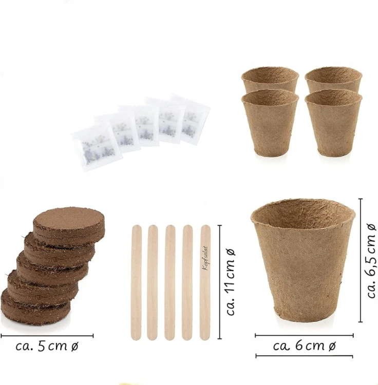 ba5a330a8ebc509b9cc3f37babfa1e45