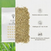 Shade & Sun Trawa w cieniu nasiona na suszę tereny zacienione 50 m² ANGLIA