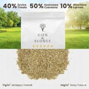 Shade & Sun Trawa w cieniu nasiona na suszę tereny zacienione 50 m² ANGLIA