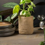 877d5acb8aae487d834c5b02aa301bd5