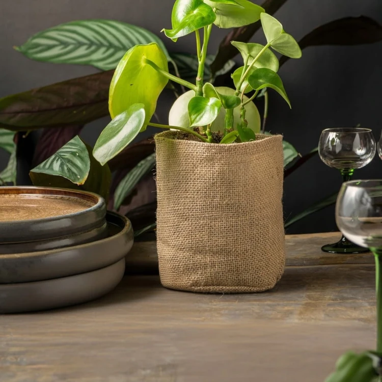 877d5acb8aae487d834c5b02aa301bd5