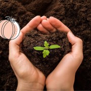 9d701a5e0d1a0a735cac3acbe92b1b23