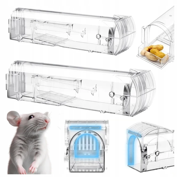 31bb03f815fe7145bb256ff78626762b