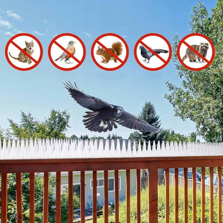 cfdda4898325b8ef44e044fd35f1126b