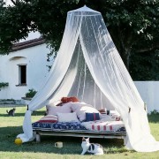 91ff85591a221c740c684986f9e23d0f